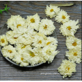 4003 Juhua Fresh Dried Herbal Tea Chrysanthemum Flower